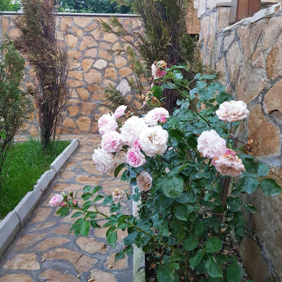 Apartment Little Paradise Visoko